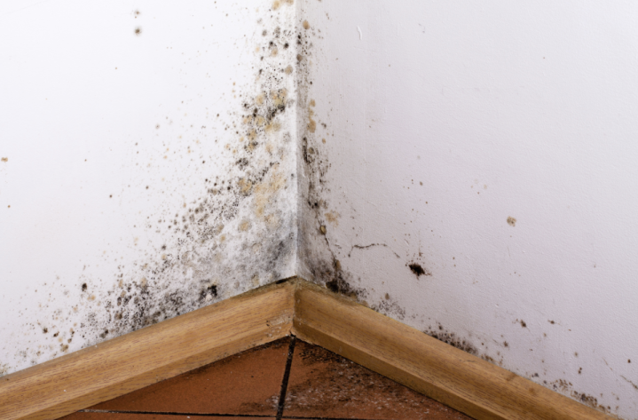 Capture d’écran 2026 01 29 à 10.41.48