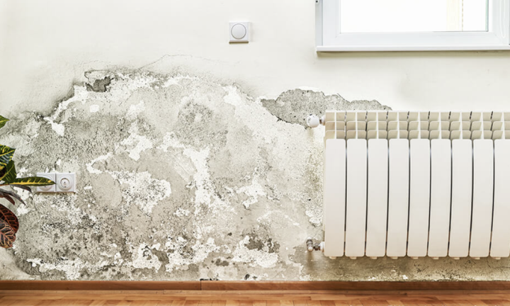 Capture d’écran 2026 01 29 à 11.24.56