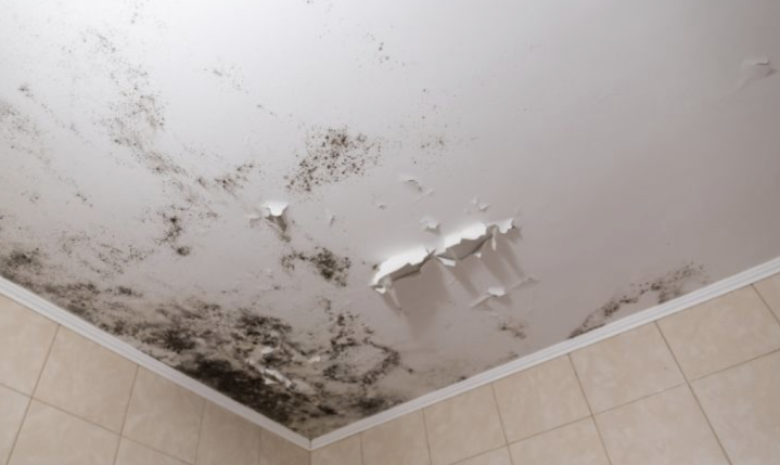 Capture d’écran 2026 01 29 à 11.27.28