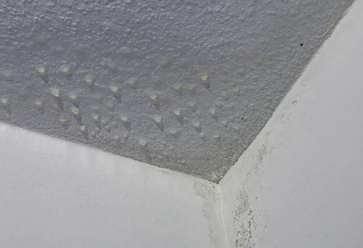 Capture d’écran 2026 01 29 à 11.34.02