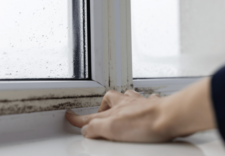 Capture d’écran 2026 01 29 à 14.31.08