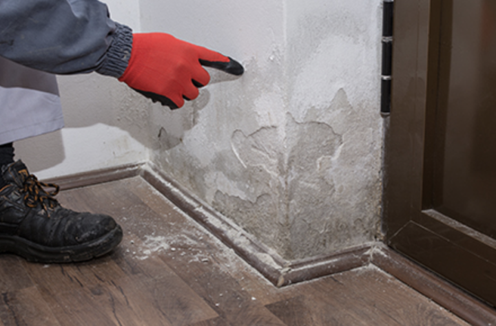 Capture d’écran 2026 02 18 à 09.58.20