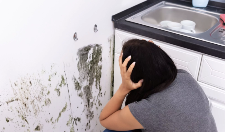 Capture d’écran 2026 02 18 à 11.05.23