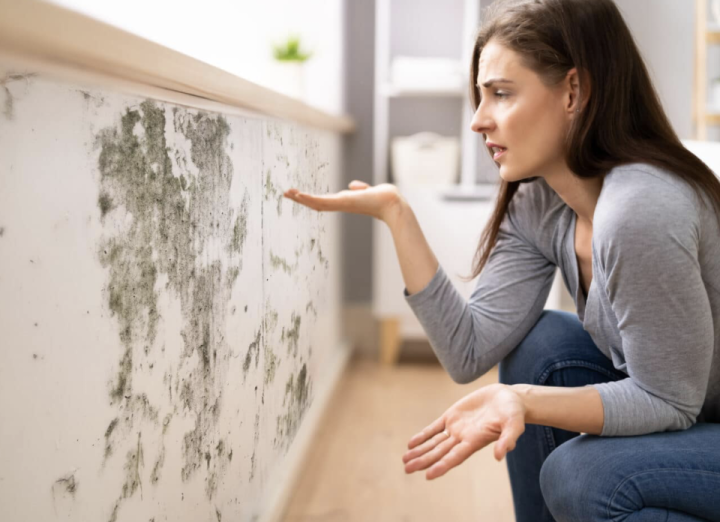 Capture d’écran 2026 03 11 à 11.17.15