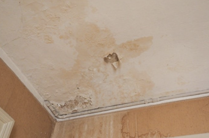 Capture d’écran 2026 03 11 à 11.37.36