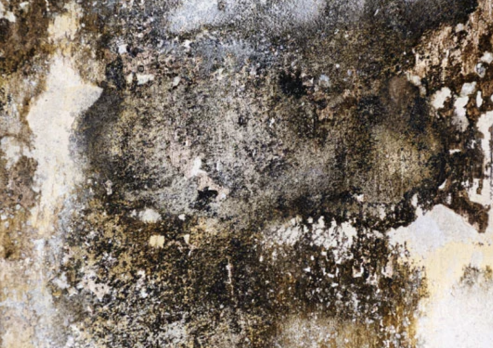 Capture d’écran 2026 03 11 à 11.48.07