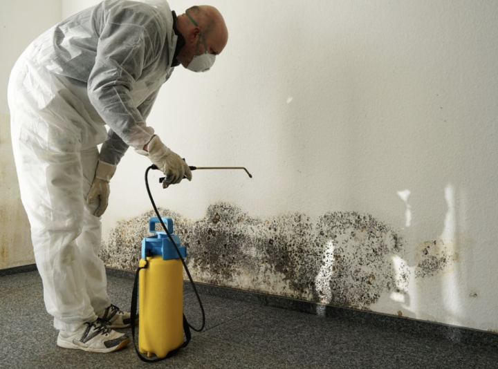 Capture d’écran 2026 03 11 à 11.53.40