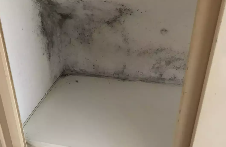 Capture d’écran 2026 04 09 à 12.41.24