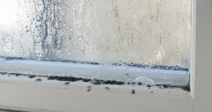 Capture d’écran 2026 04 27 à 12.51.01