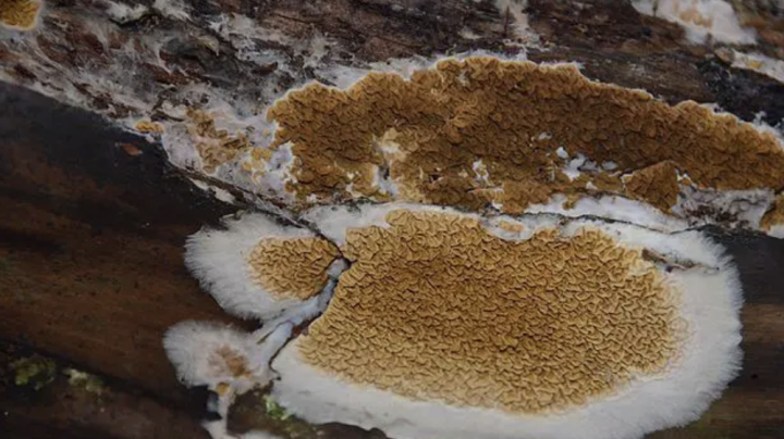 Capture d’écran 2026 04 27 à 14.10.59