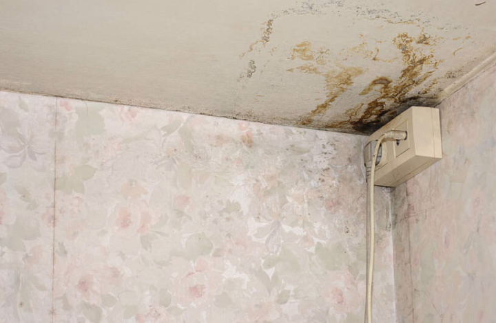 Capture d’écran 2026 04 28 à 11.06.58