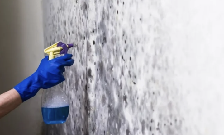 Capture d’écran 2026 04 28 à 11.08.04