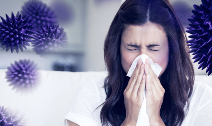 Capture d’écran 2026 04 28 à 11.12.24