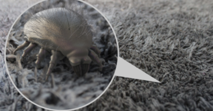 Capture d’écran 2026 04 28 à 11.12.31