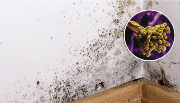 Capture d’écran 2026 04 28 à 11.12.58