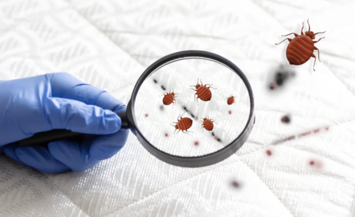 Capture d’écran 2026 04 29 à 10.04.53