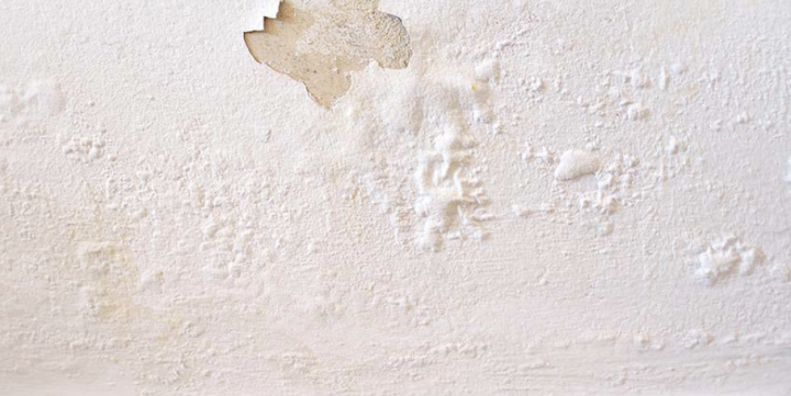 Capture d’écran 2026 04 29 à 10.13.03