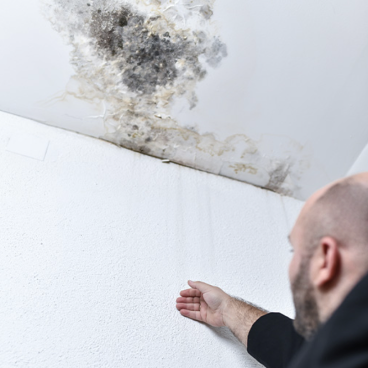 Capture d’écran 2026 04 29 à 10.13.22