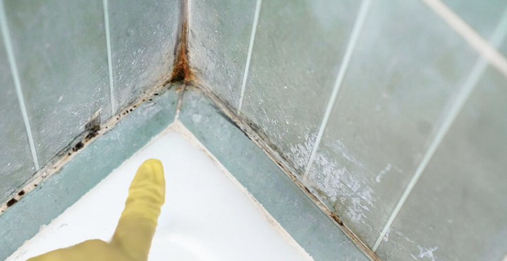 Capture d’écran 2026 04 30 à 11.19.17