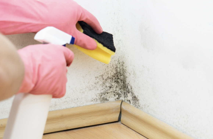 Capture d’écran 2026 04 30 à 11.20.38