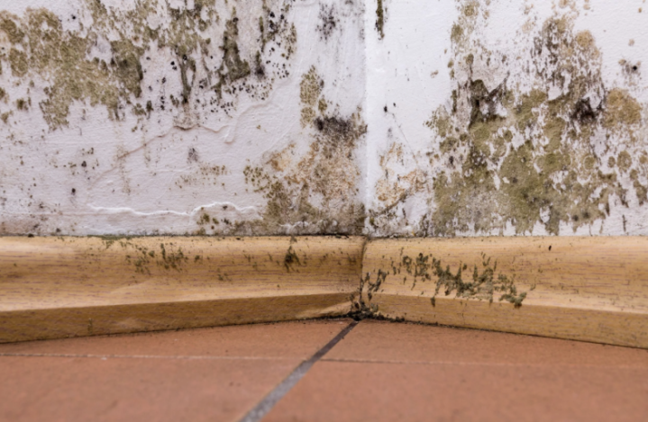 Capture d’écran 2026 04 30 à 11.24.53