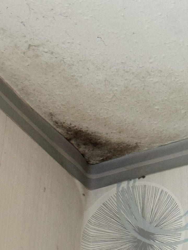 WhatsApp Image 2026 02 02 at 17.20.59