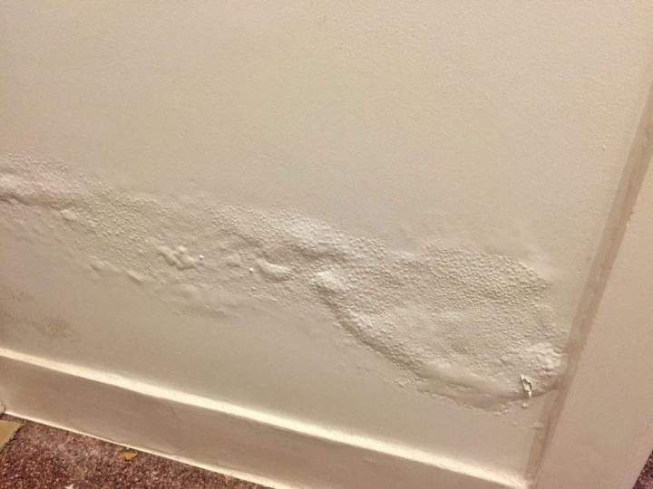 diagnostic remontees capillaires 2 1024x768