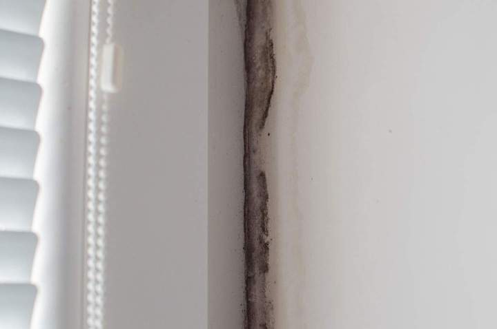 Élimination des infiltrations murales